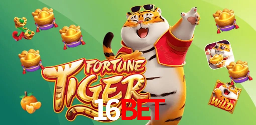 Sports Statistics 16bet
